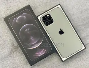 Apple iPhone 12 Pro Max 256GB (Used)