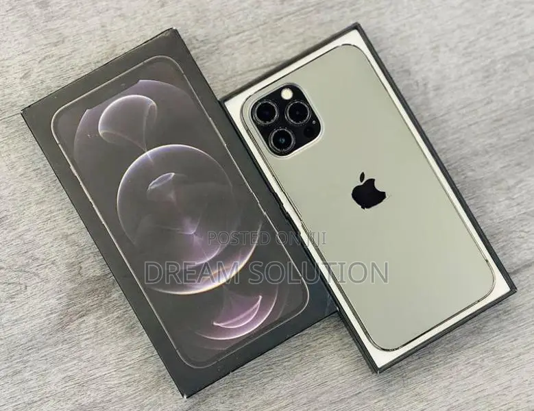 Apple iPhone 12 Pro Max 256GB (Used)