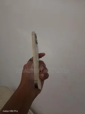 Apple iPhone 13 Pro Max (Used)