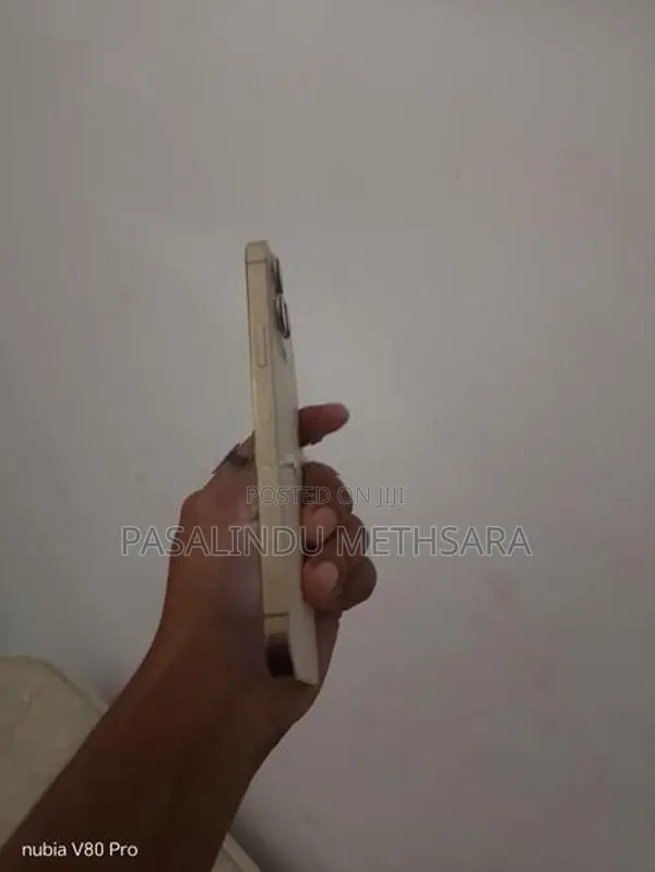 Apple iPhone 13 Pro Max (Used)