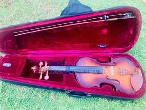 Link violin