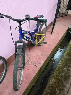 Lumala Bicycle