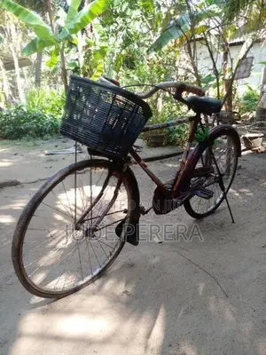 Lumala Bicycle
