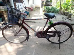 Lumala Bicycle