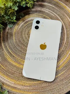 Apple iPhone 12 256GB (Used)