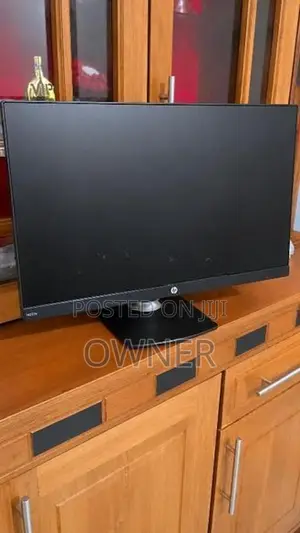 HP 22" Frameless Monitor
