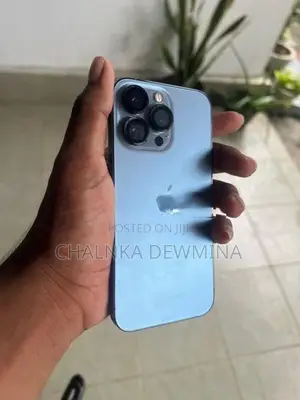 Apple iPhone 13 Pro (Used)