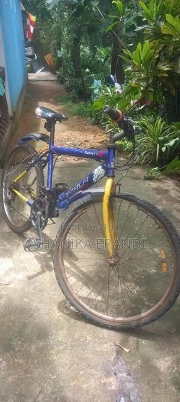 Lumala Mountain Bicycle