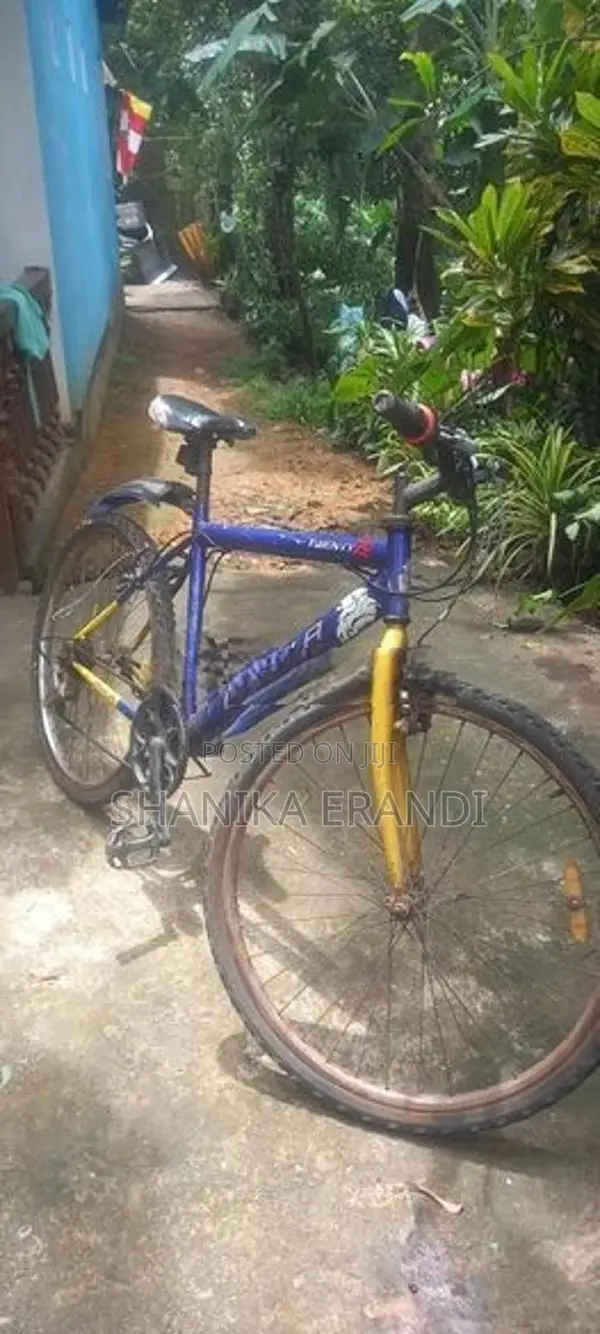 Lumala Mountain Bicycle
