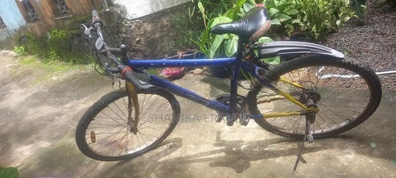 Lumala Mountain Bicycle