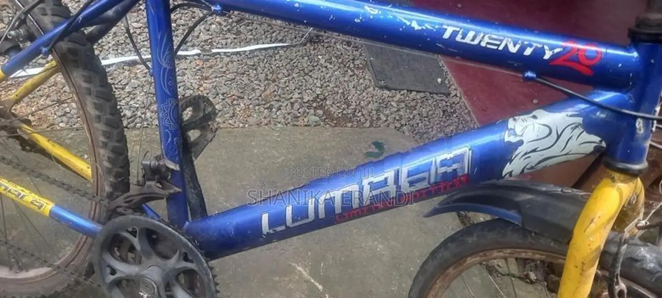 Lumala Mountain Bicycle