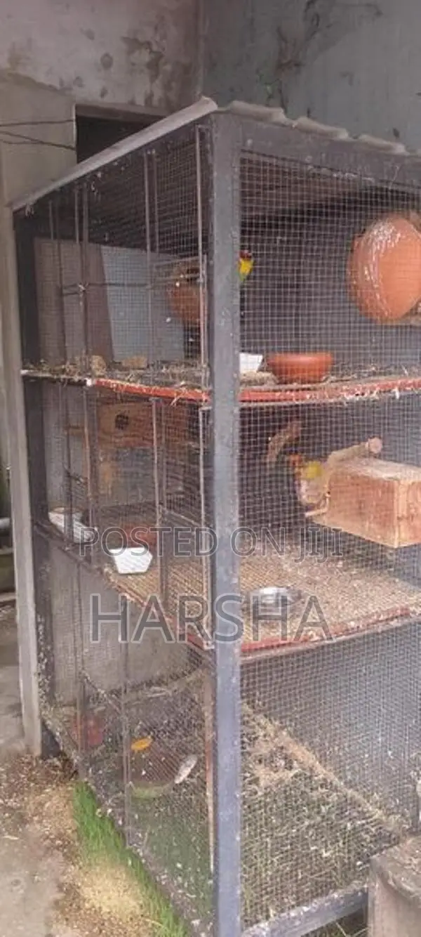 African Lovebird Cage