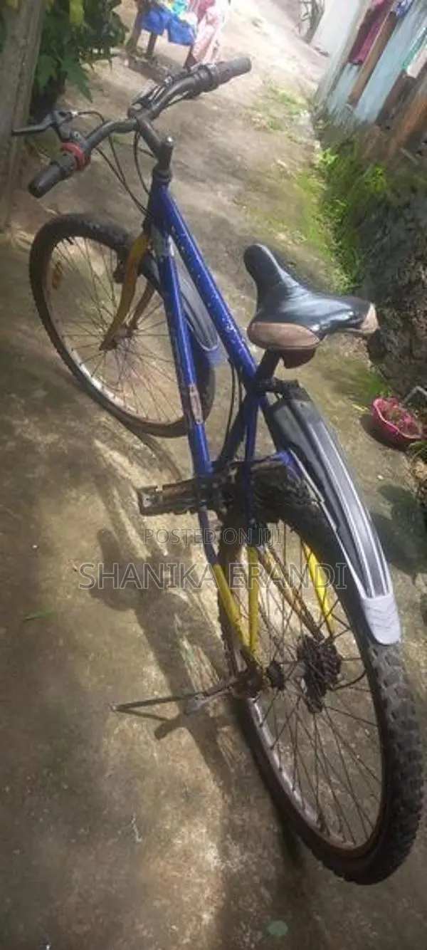Lumala Bicycle