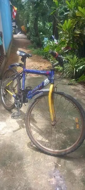 Lumala Bicycle