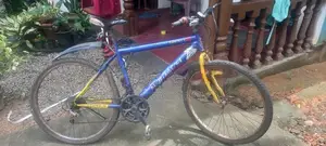 Lumala Bicycle