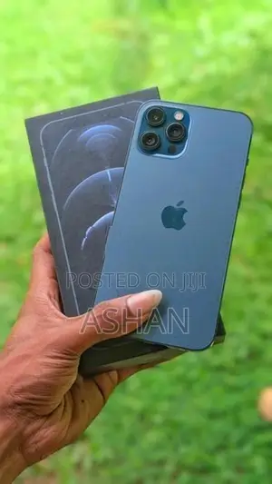 Apple iPhone 12 Pro Max (Used)