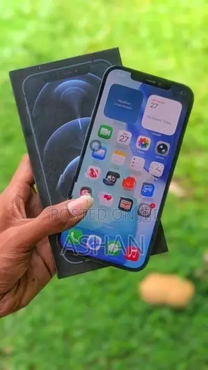 Apple iPhone 12 Pro Max (Used)
