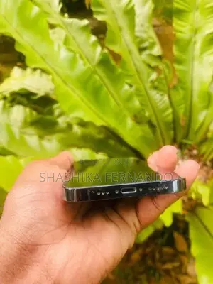 Apple iPhone 12 Pro (Used)