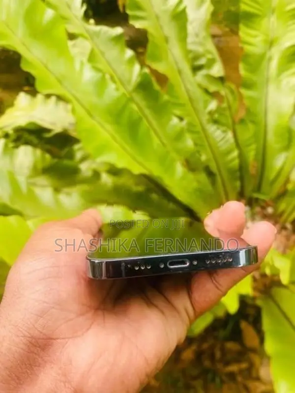 Apple iPhone 12 Pro (Used)
