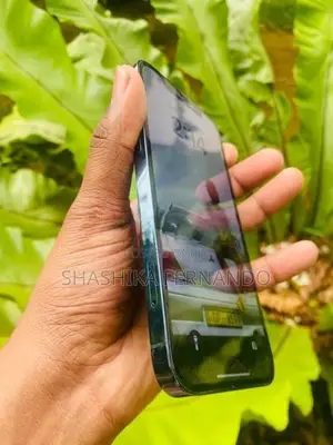 Apple iPhone 12 Pro (Used)