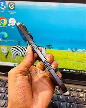 Apple iPhone 16 Pro 256GB (Used)