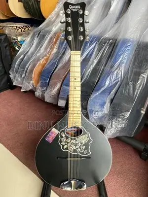 Mandolin (Givson Semi Acoustic)
