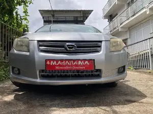 Toyota Axio Silver 2008