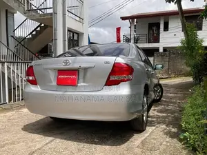 Toyota Axio Silver 2008