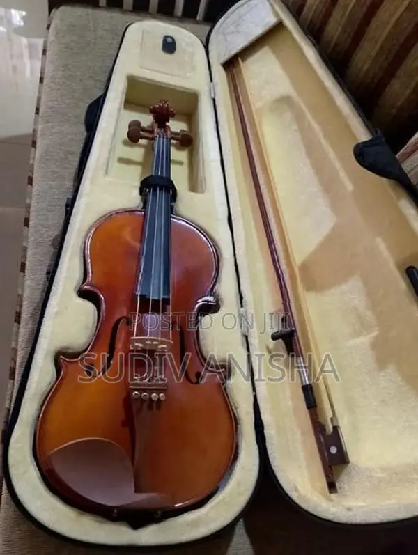 4/4 Full Size Violin with Hard Case Bow