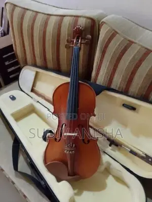 4/4 Full Size Violin with Hard Case Bow