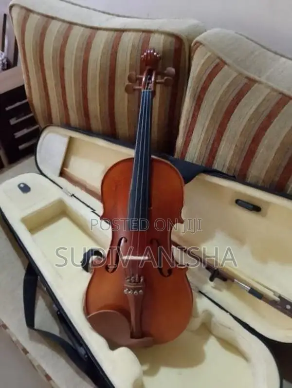 4/4 Full Size Violin with Hard Case Bow