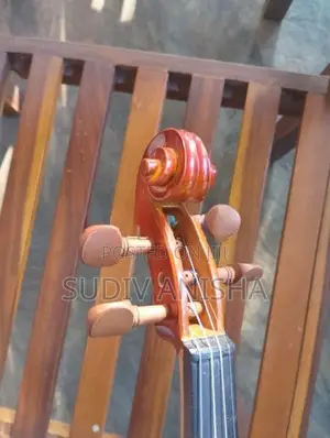 4/4 Full Size Violin with Hard Case Bow