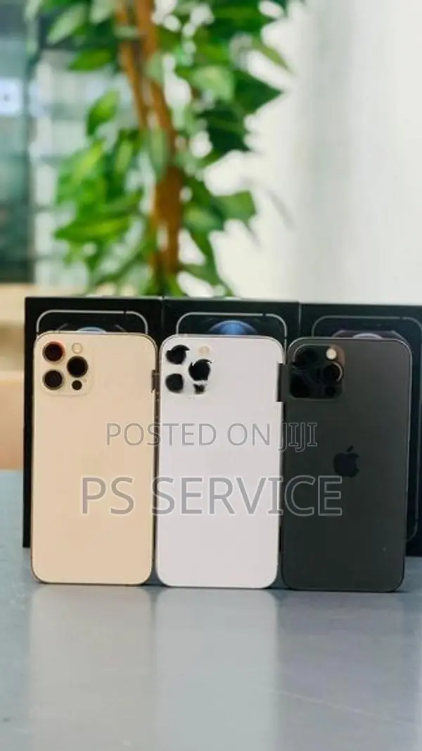 Apple iPhone 12 Pro 256GB (Used)