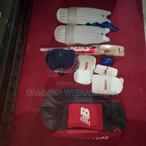 Cricket Set