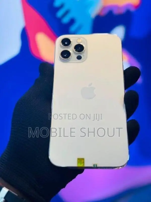 Apple iPhone 12 Pro Max (Used)