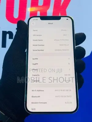 Apple iPhone 12 Pro Max (Used)