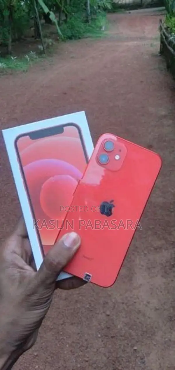 Apple iPhone 12 (Used)