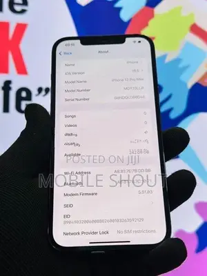 Apple iPhone 12 Pro Max (Used)