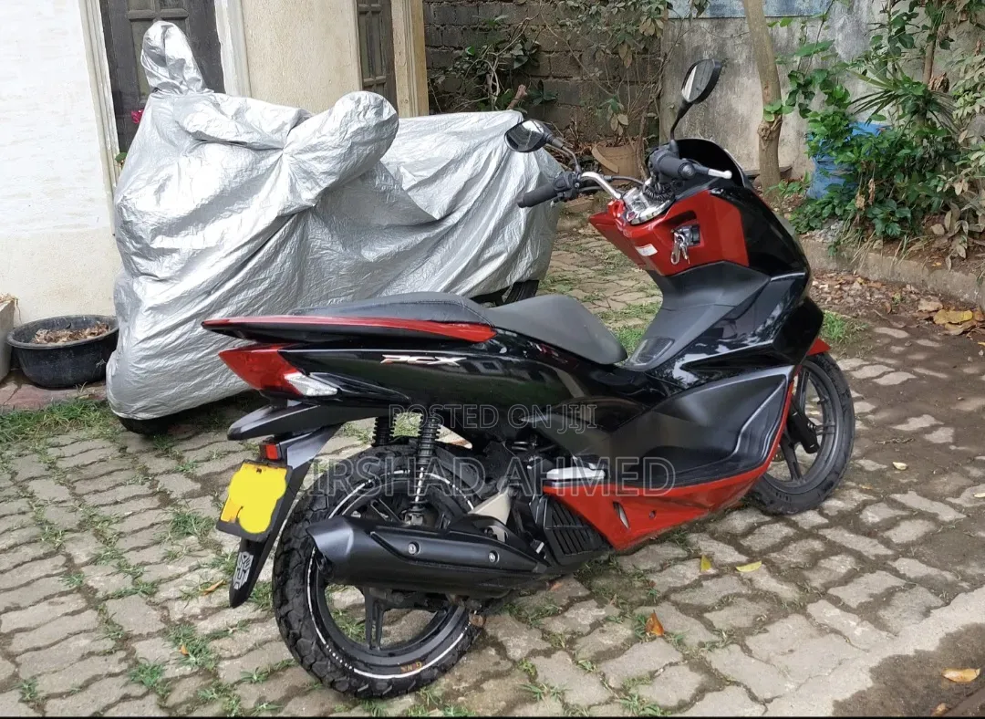 Honda 2019 Black