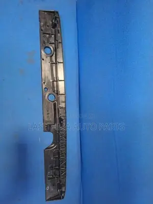 55 Stringray 2020 Radiator Guard