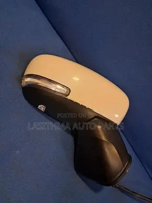 55 S Side Mirror