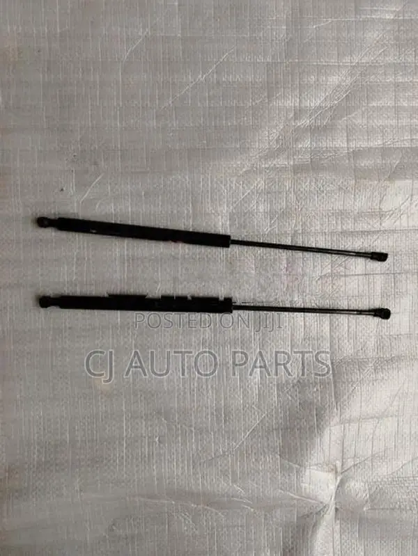 Peugeot 206 Dicky Door Shock