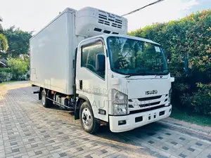 Isuzu Elf Freezer 2019