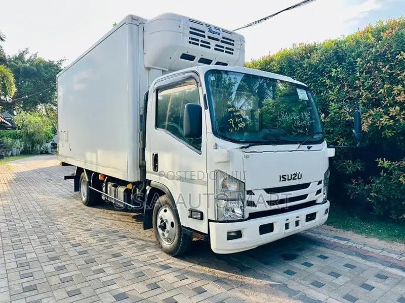 Isuzu Elf Freezer 2019