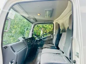 Isuzu Elf Freezer 2019