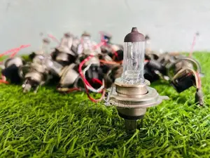 Headlight Bulb