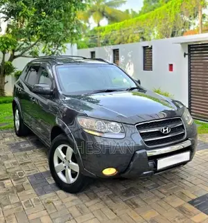 Hyundai Santa Fe 2007