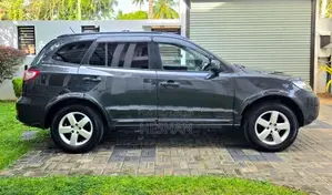 Hyundai Santa Fe 2007