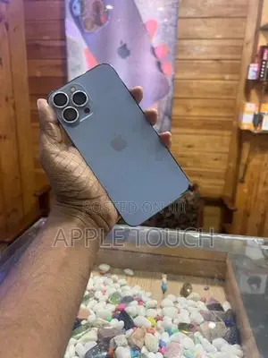 Apple iPhone 13 Pro Max (Used)
