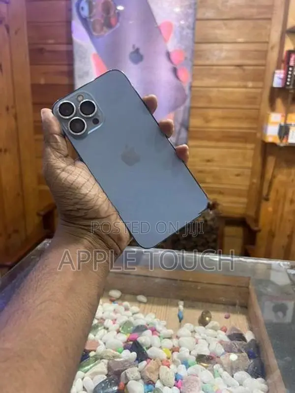 Apple iPhone 13 Pro Max (Used)